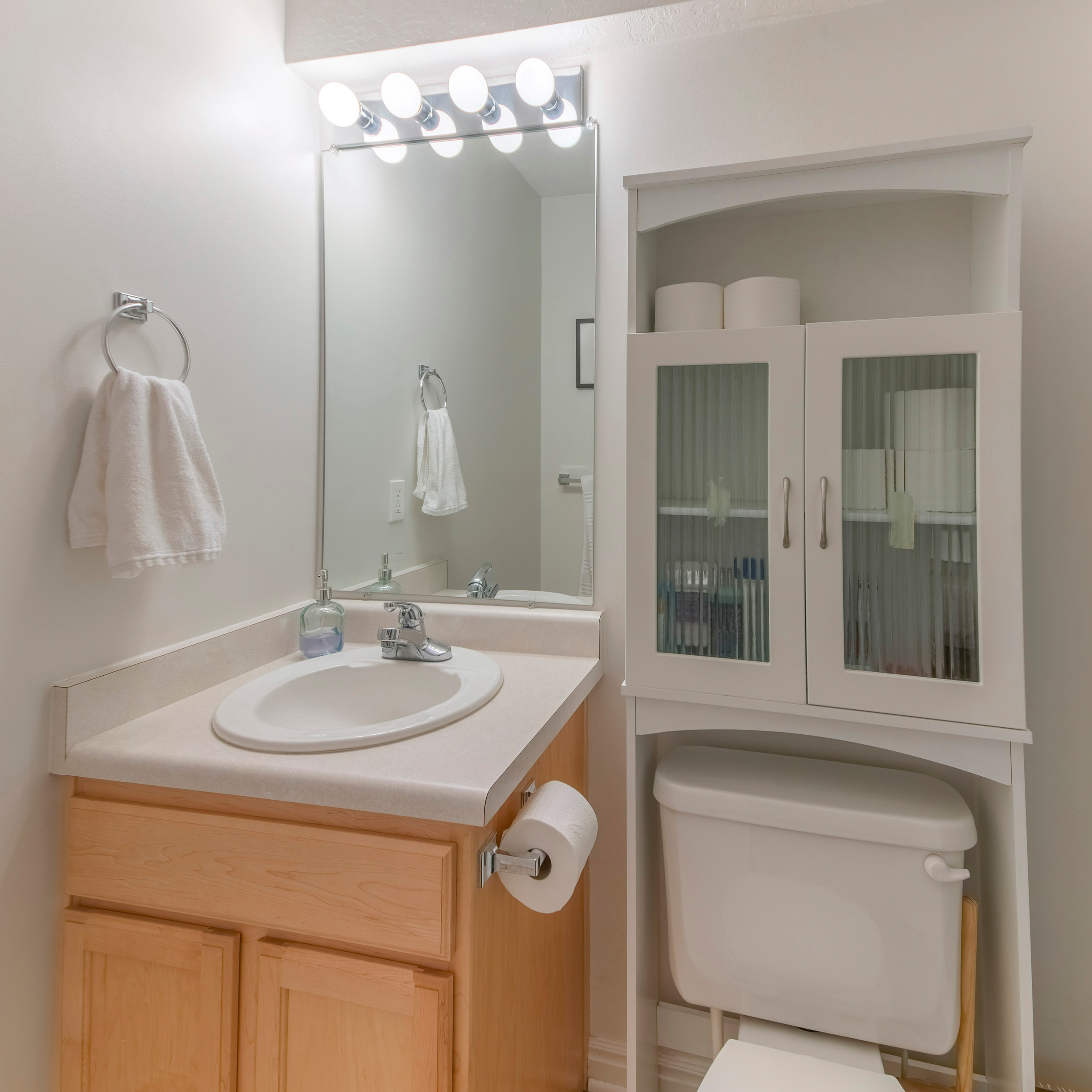 over-the-toilet storage cabinet. 